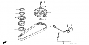   (bf8c / cx) (Timing Belt (bf8c / Cx))