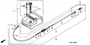   (Fuel Tank)