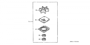      (Water Pump Impeller Kit)