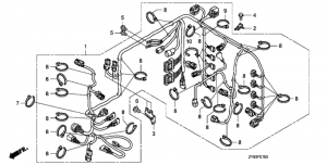 Main   (Main Wire Harness)