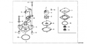      (Impeller Pump Kit)