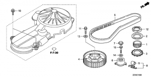   (Timing Belt)