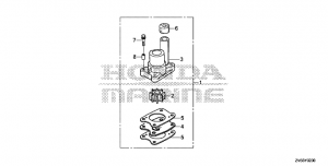 Fop-2  ,    (Fop-2 Impeller Water Pump Complect)