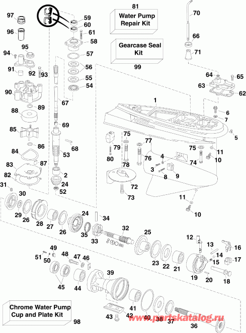 �������� ����� EVINRUDE E115DCXSCS  - arcase / arcase
