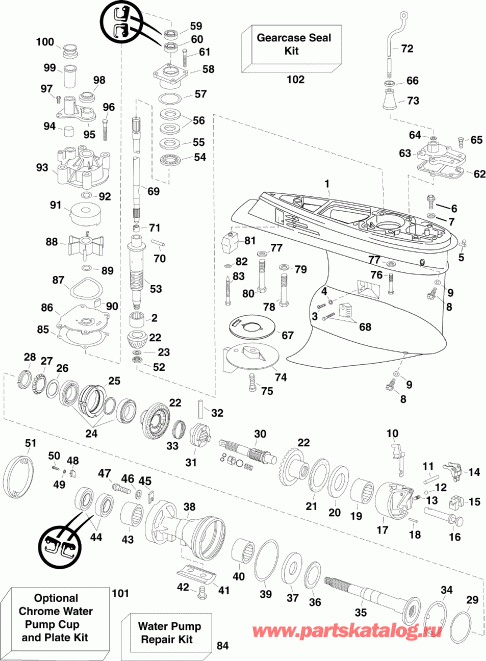 ��������� �������� ����� EVINRUDE E175DCXSCR  - arcase - arcase