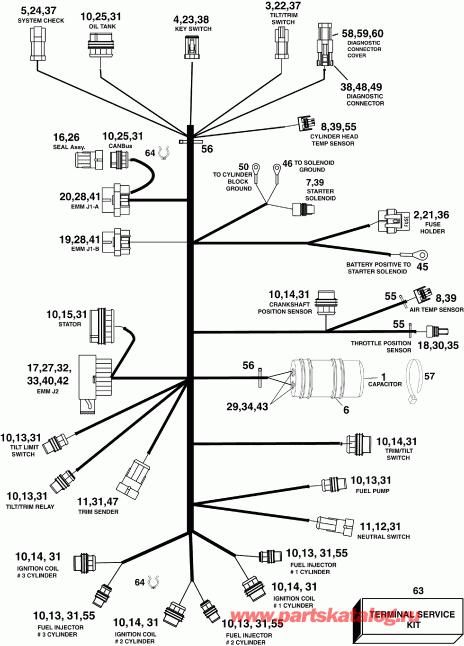  EVINRUDE E75DPLSCB  - gine Electrical Harness
