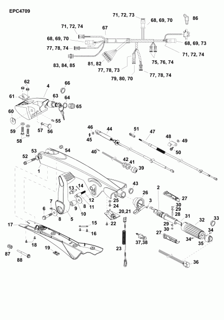 ����� EVINRUDE E50DGTLAGA  - ������� (����� �������) (dt) / tiller Arm (dt)