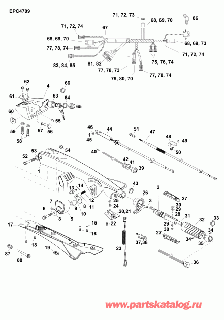   EVINRUDE E50DTLAGA  -  ( ) (dt) - tiller Arm (dt)