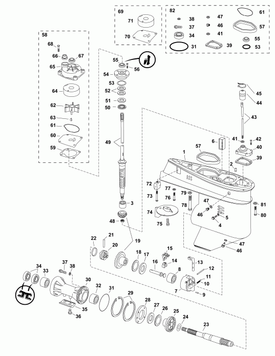 ����� Evinrude E50DTLAGA  - ��������, F-type - gearcase, F-type