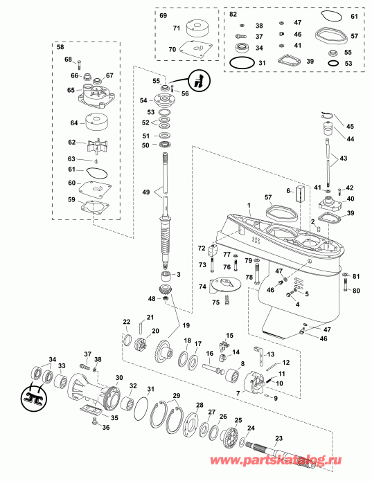 ��������� EVINRUDE E60DTLAGA  - gearcase, F-type