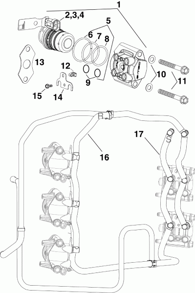  EVINRUDE E225DHLAAC  -   & Rails - fuel Injector & Rails