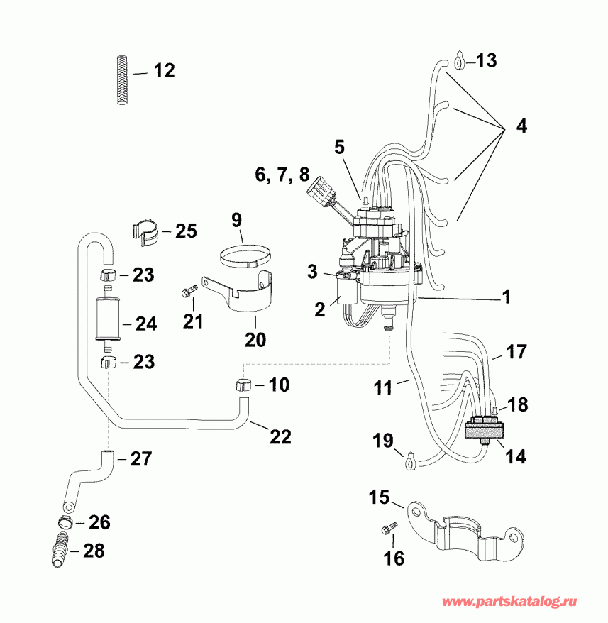  EVINRUDE E150DCXABF  - �������� �����