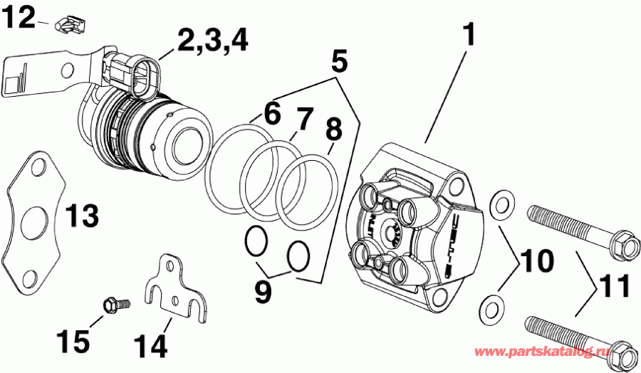 ��������� �������� ����� Evinrude E175DSLABG  - ��������� �������� - fuel Injector