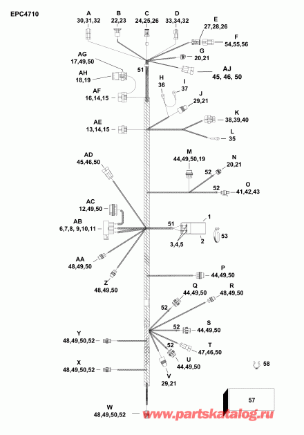 �������� ����� EVINRUDE E75DSLAFC  - electrical Harness / ��������� - ���� ��������