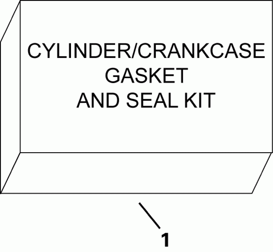  EVINRUDE E25DRSLIIH  - sket & Seal Kit