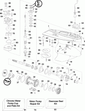��������, M2-type (Gearcase, M2-type)