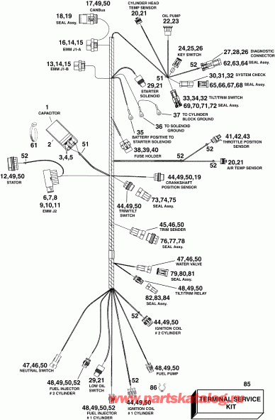 ��������� ����� EVINRUDE E40DPLINC  - ectrical ���� �������� - ectrical Harness
