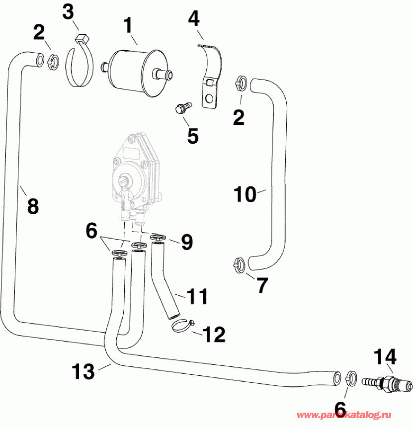 ��������� �������� ����� Evinrude E55MRLAAA  - fuel Filter / ��������� ������