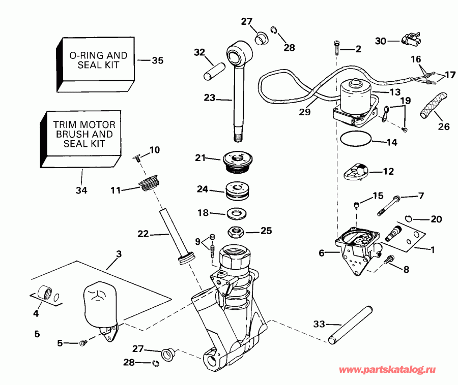 ����� ������� E135FPLSSS FFI, Elec Start, TNT, 20 IN.   - wer Trim / tilt Hydraulic Assembly