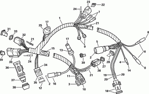 Motor   (Motor Harness)