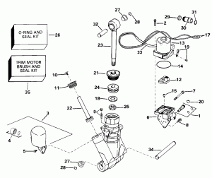    Hydraulic Assembly (Power Trim/tilt Hydraulic Assembly)