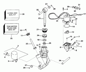    Hydraulic Assembly (Power Trim/tilt Hydraulic Assembly)