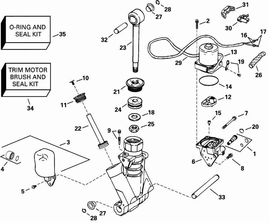 ��������� ��������� Evinrude E250FPLSSS FFI, Elec Start, TNT, 20 IN s  - wer Trim/tilt Hydraulic Assembly / wer Trim / tilt Hydraulic Assembly