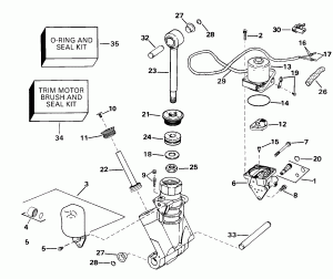    Hydraulic Assembly (Power Trim/tilt Hydraulic Assembly)