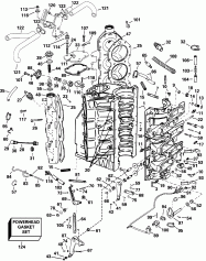  &   (Cylinder & Crankcase)