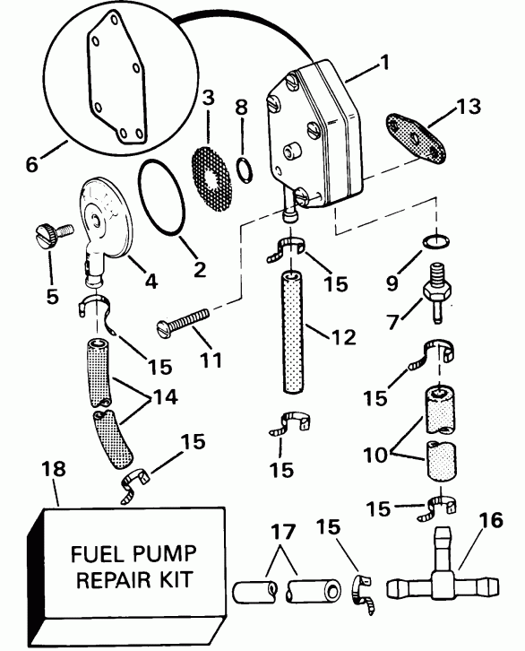  EVINRUDE BE30BASIA rope start, tiller, 15 in shaf  - el Pump
