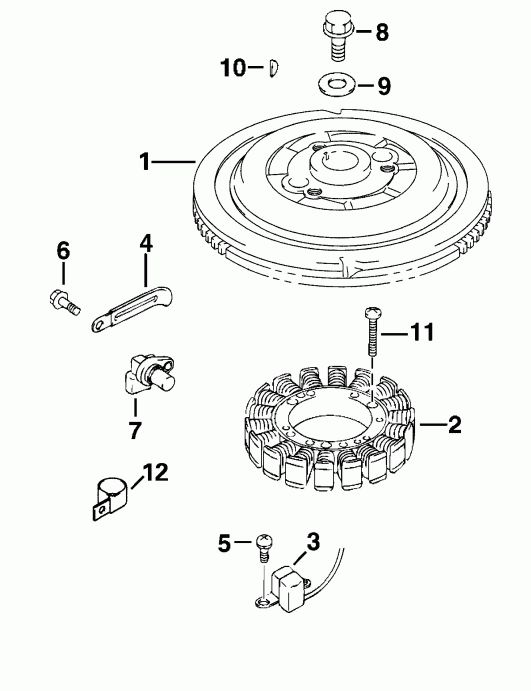 ��������� ����� Evinrude E50PL4SIR 4-Stroke, Elec Start, TNT, 20   - ywheel / ywheel