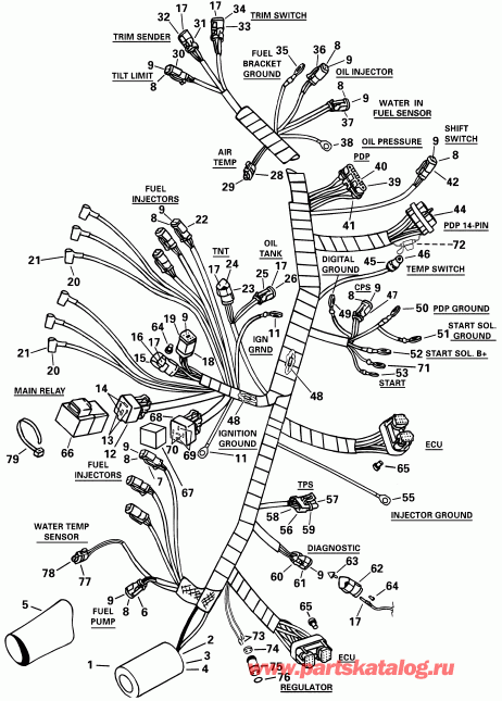 �������� ��������� ����� EVINRUDE RE150FLSIF FFI, elec start, TNT, 20 in s  - tor Cable Assembly - tor ������ Assembly