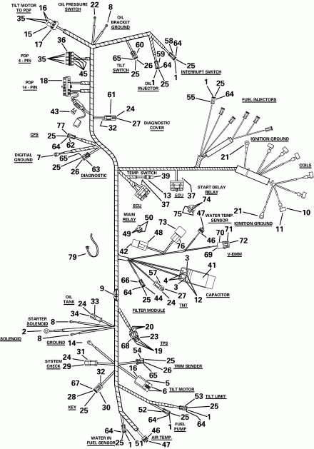 �������� ����� Evinrude RE200FXSIF FFI, elec start, TNT, 25 in s  - gine ������ / gine Cable