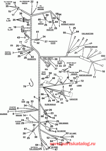 ����� Evinrude RE225FHSIF FFI, elec start, TNT, 20 in s  - gine ������ / gine Cable