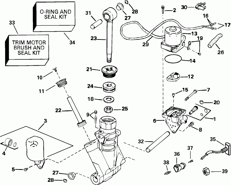    E150FSLSTD  - wer Trim / tilt Hydraulic Assembly / wer Trim/tilt Hydraulic Assembly