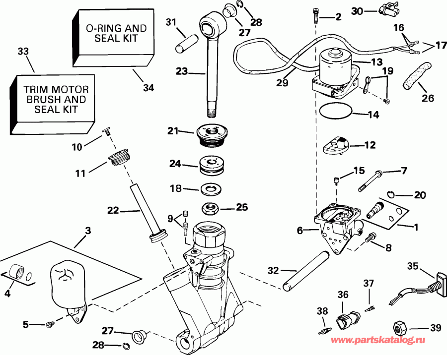 ��������� ��������� Evinrude E100FPLSRS  - wer Trim / tilt Hydraulic Assembly