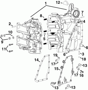 ������� / ������ ��������� (Cylinder/crankcase)