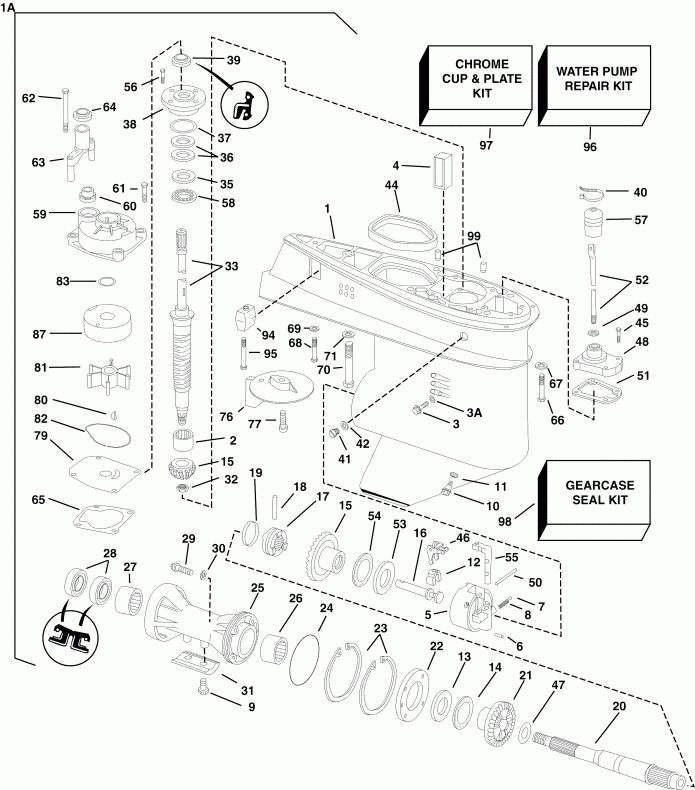 ��������� Evinrude E50DPLSRC  - arcase / arcase