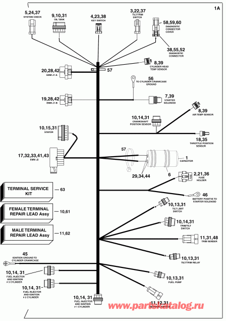 ����� Evinrude E90DPXSRC  - gine Electrical Harness - gine ��������� - ���� ��������