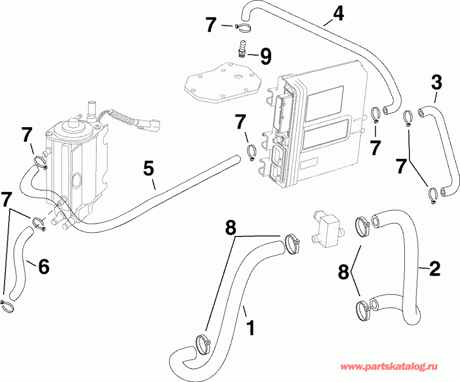 ����� Evinrude E200DPLSOC  - oling Hoses - oling �����s