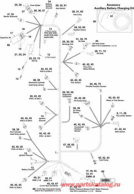 �������� ��������� ����� Evinrude E200DPXSOC  - ectrical ���� �������� - ectrical Harness