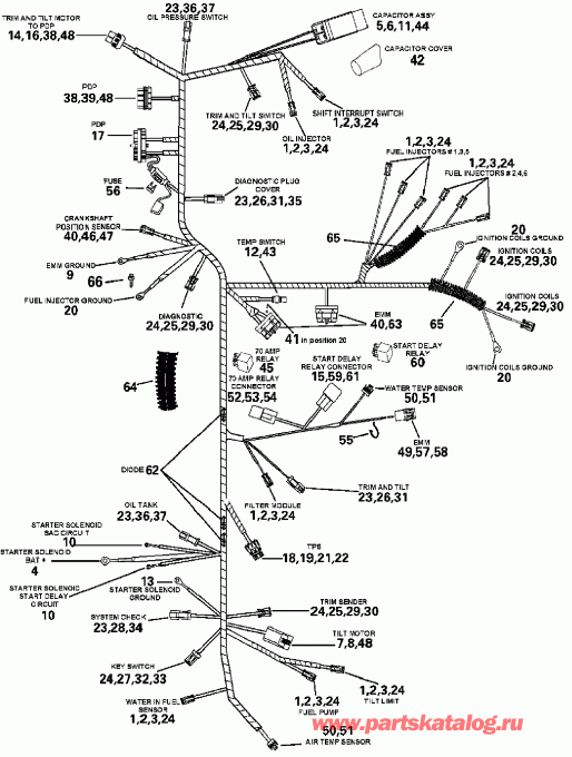 �������� ��������� ����� Evinrude E225FHXSOC  - gine Harness Assembly - gine ���� �������� Assembly
