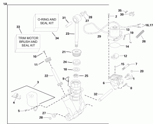 Trim & Tilt Hydraulic Assembly (early P����uction) (Trim & Tilt Hydraulic Assembly (early Production))
