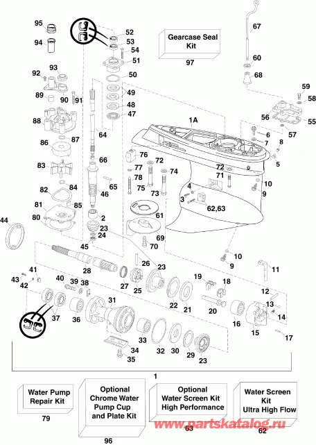 Evinrude E135FPXSDE  - Px Models / Px Models