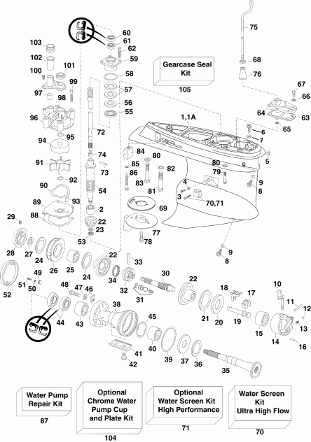 ��������� Evinrude E175DCXSUF  - arcase / arcase
