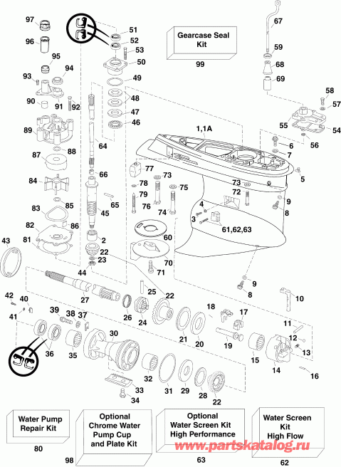 ��������� ��������� EVINRUDE E250DPZSUG  - arcase / arcase