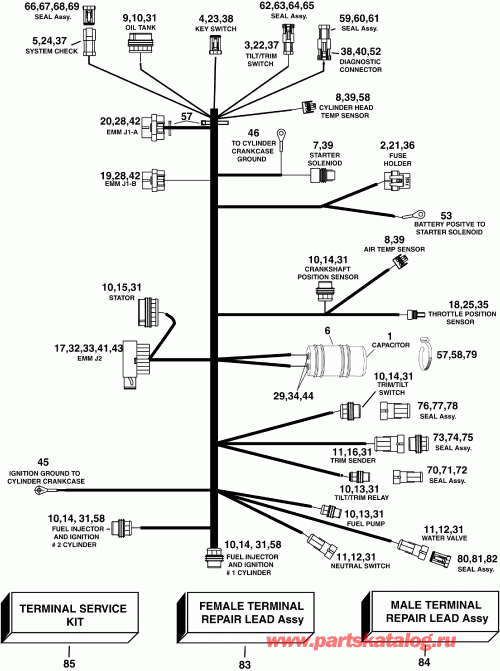 ��������� ��������� ������� E60DPLSUM  - gine Electrical Harness / gine ��������� - ���� ��������