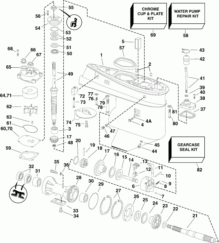 ��������� �������� ����� Evinrude E60DPLSUM  - arcase