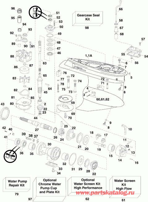 ����� Evinrude E225DPZSCF  - arcase - arcase
