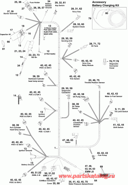  Evinrude E250DCXSCG  - ectrical ���� �������� / ectrical Harness